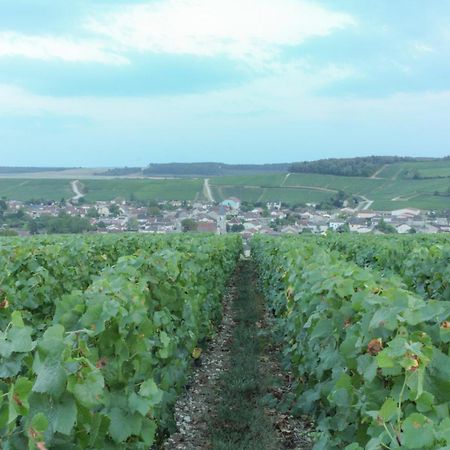 Une Parenthese En Champagne Jaucourt Екстер'єр фото