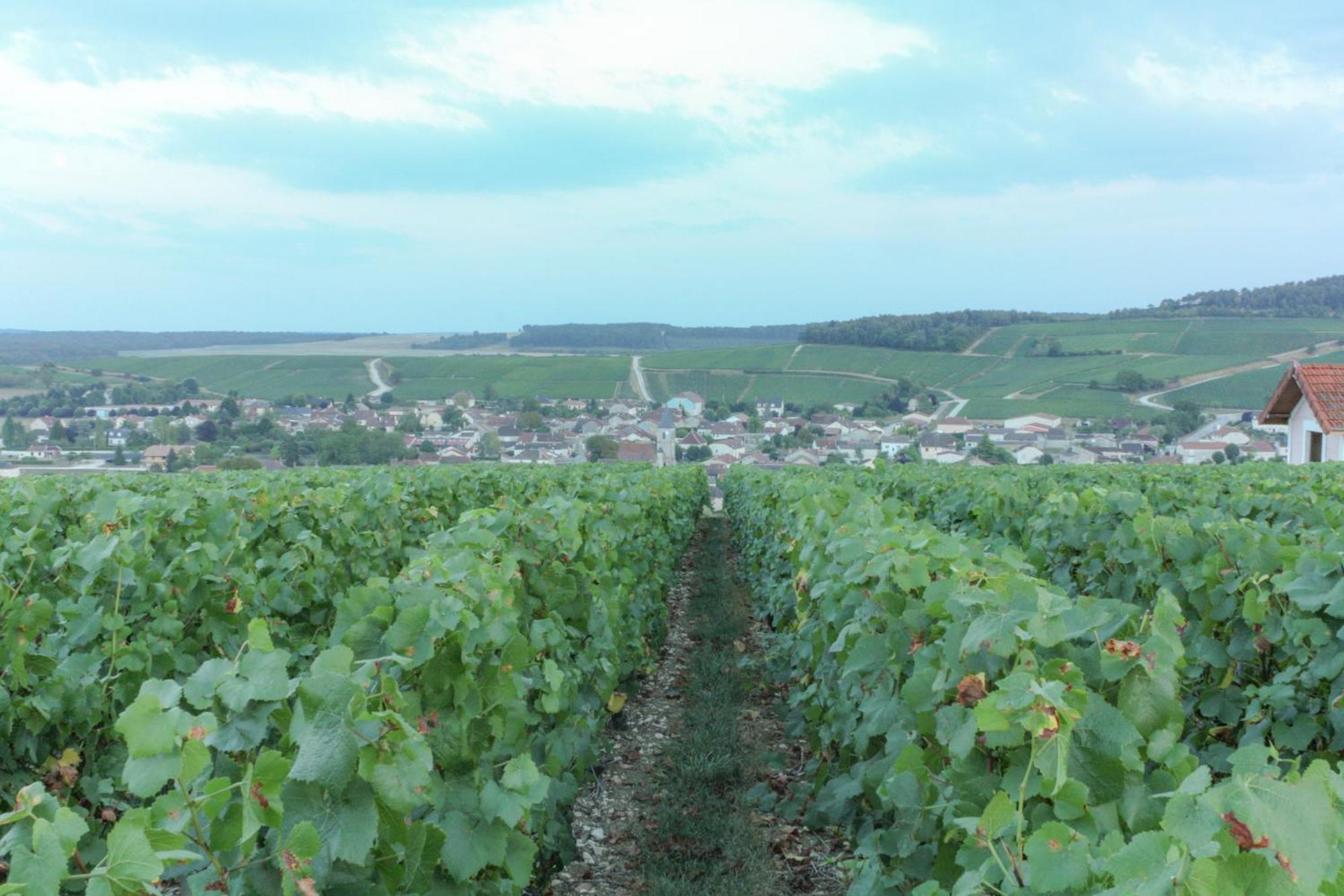 Une Parenthese En Champagne Jaucourt Екстер'єр фото